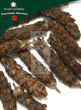 Xia Ku Cao, unsulfured Prunella vulgaris spike